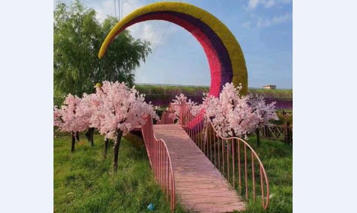 �W(w��ng)�t������