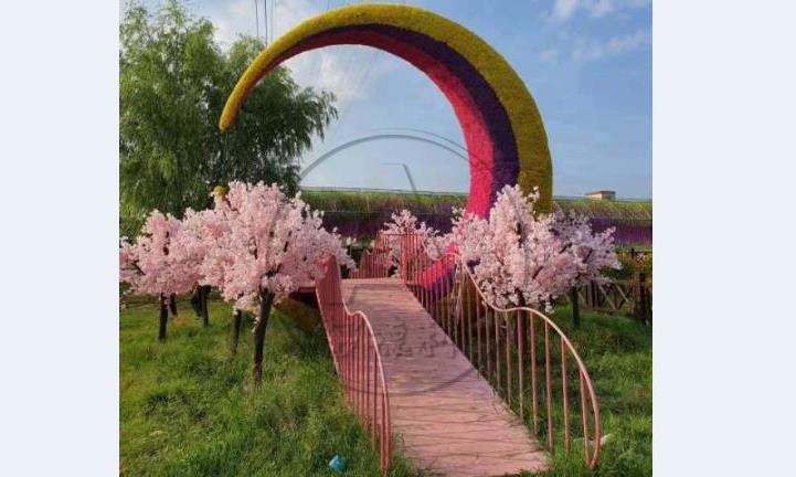 �W(w��ng)�t������