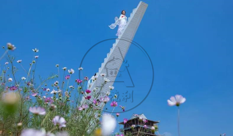 �W(w��ng)�t����